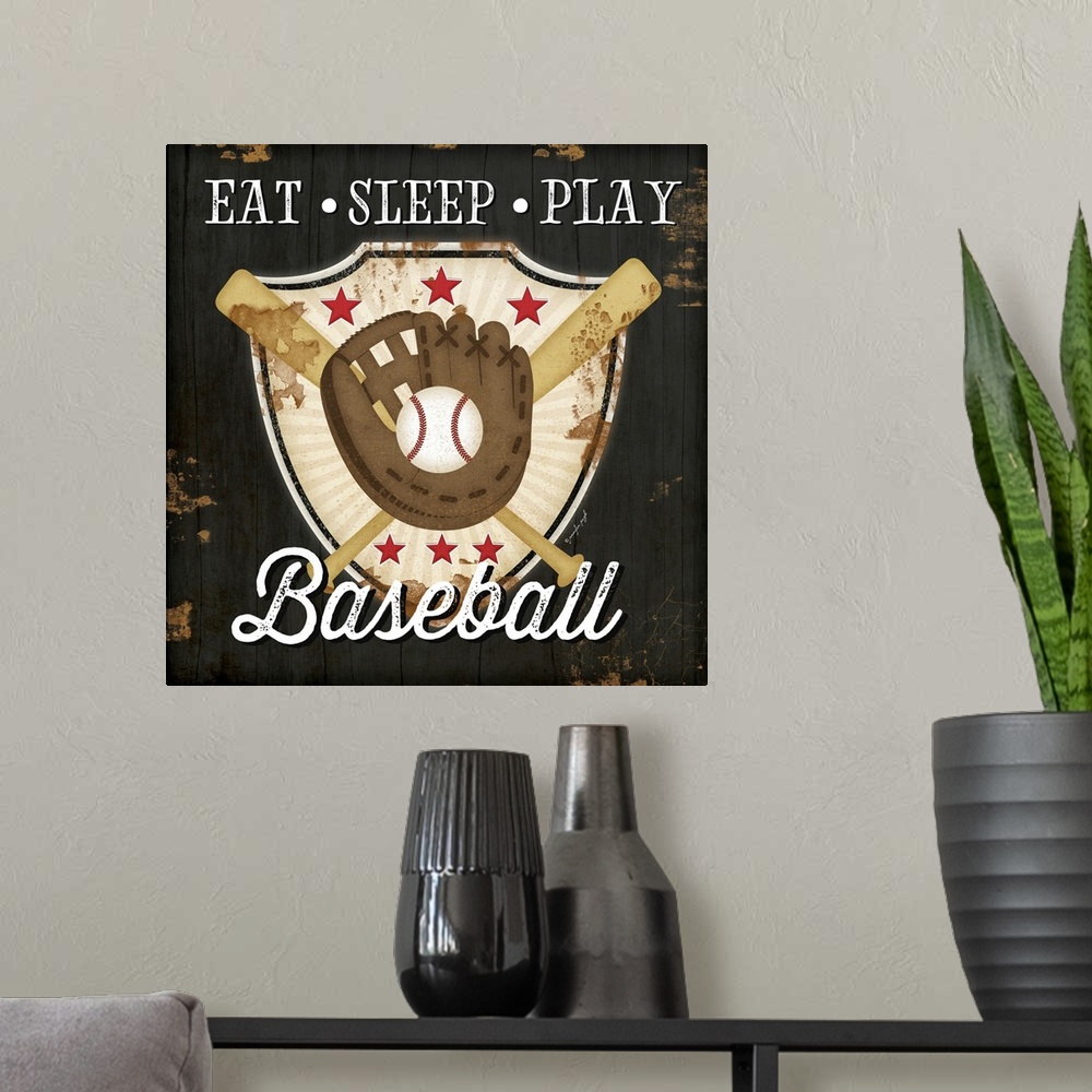 A modern room featuring Eat, Sleep, Play, Baseball