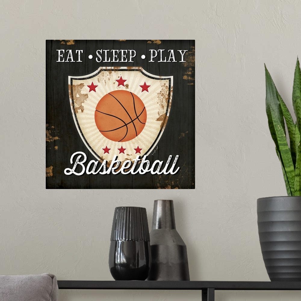 A modern room featuring Eat, Sleep, Play, Basketball