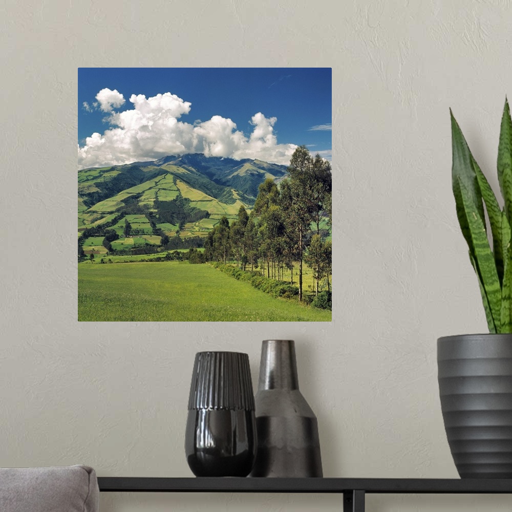 A modern room featuring South America, Ecuador, Otavalo. Fertile fields dot the hillsides in the Central Highlands near O...