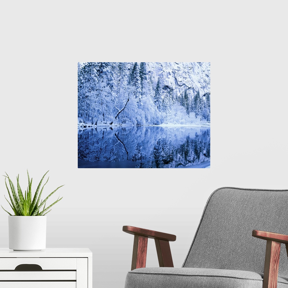 A modern room featuring Yosemite National Park, California. USA. Fresh snow on trees
