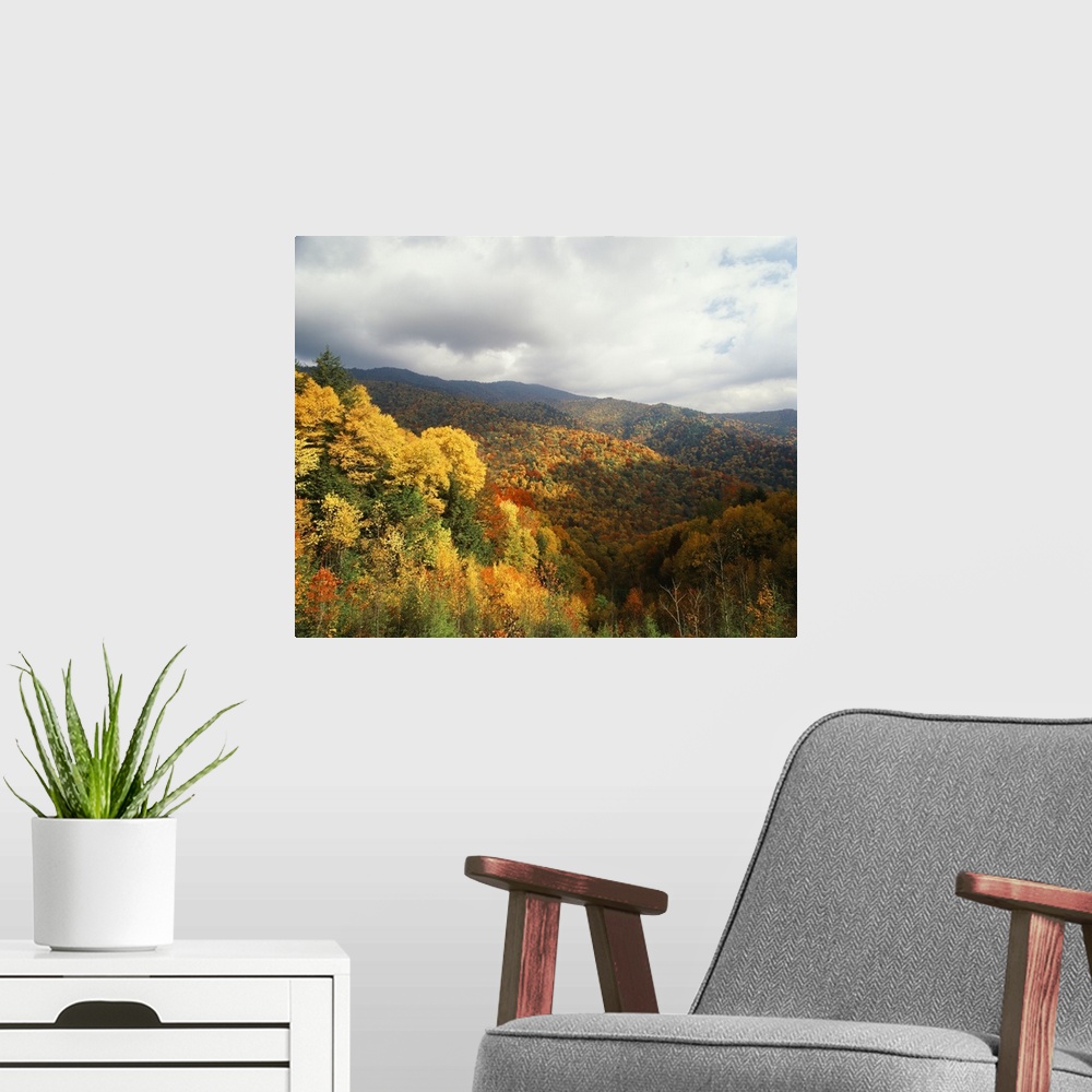 A modern room featuring USA, North Carolina, View of Great Smoky Mountains National Park in autumn from Thomas Ridge
