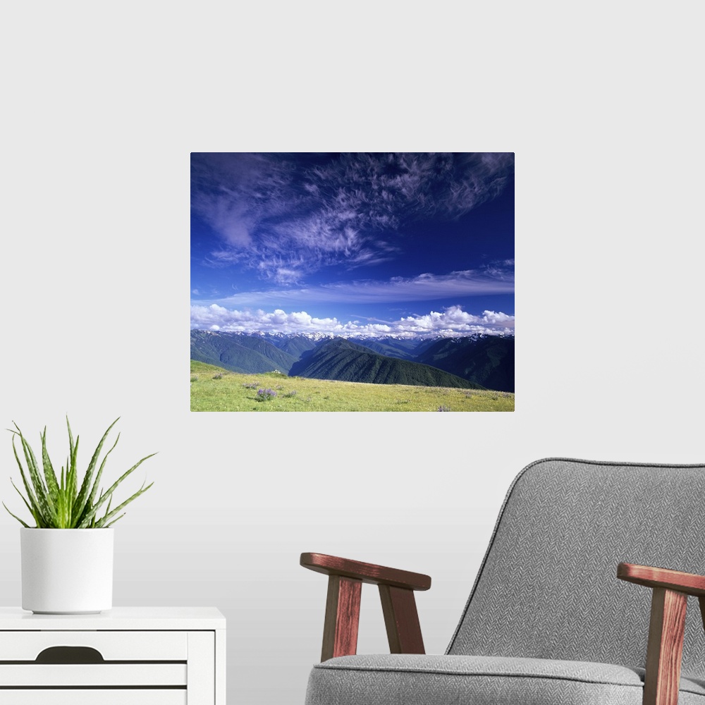 A modern room featuring Washington Olympic National Park, Olympic Mountain Range, view from Hurricane Ridge.