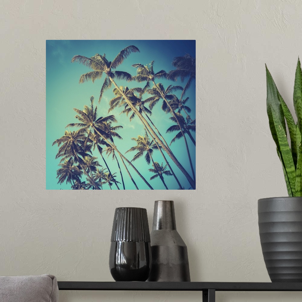 A modern room featuring Retro vintage style photo of diagonal palm trees in Hawaii.