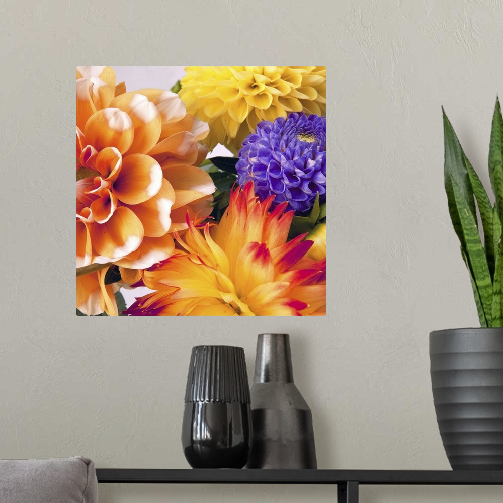 A modern room featuring Background with two dahlias.