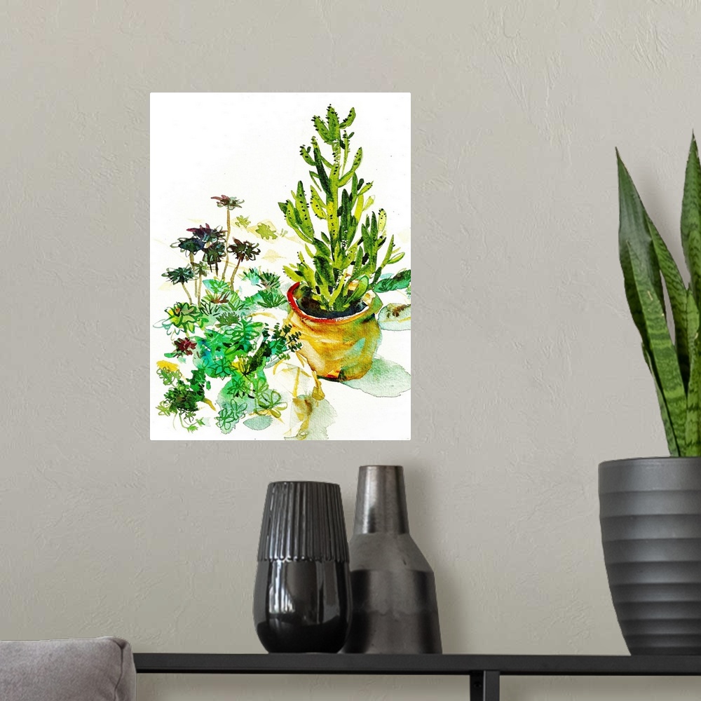 A modern room featuring Loose watercolor study of a collection of succulents and a large potted cactus. Seen in the Volun...