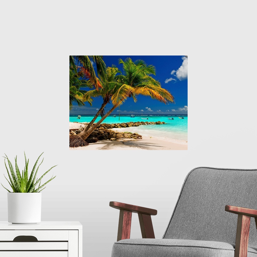 A modern room featuring Barbados, Caribbean, Whorthing beach