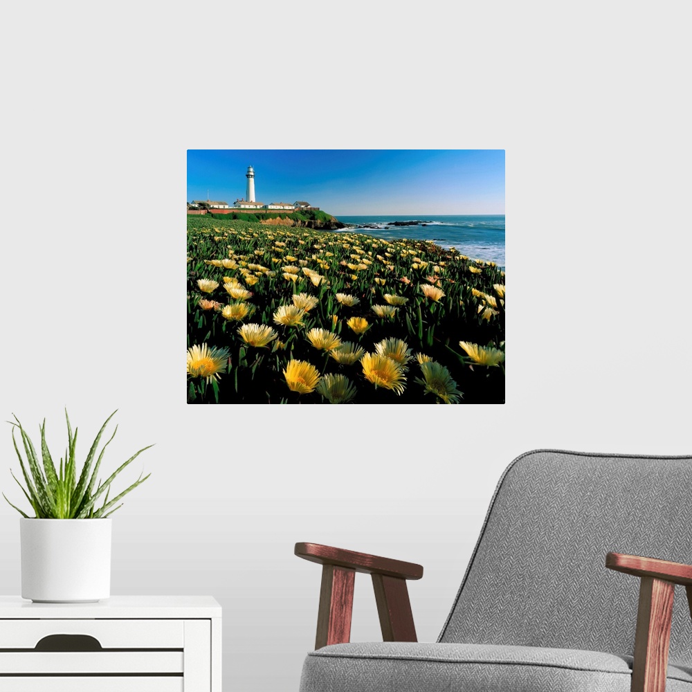 A modern room featuring California, Pigeon Point, lighthouse with meadow in foreground