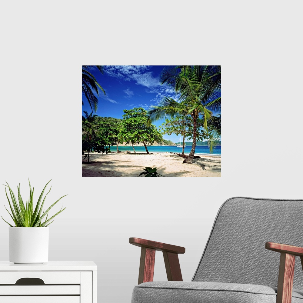 A modern room featuring Costa Rica, Guanacaste, Caribbean, Caribs, Travel Destination, Nicoya Peninsula, view towards Tor...