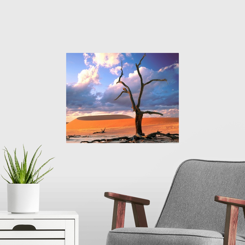 A modern room featuring Dunes with tree, Namibia, Naukluft Park