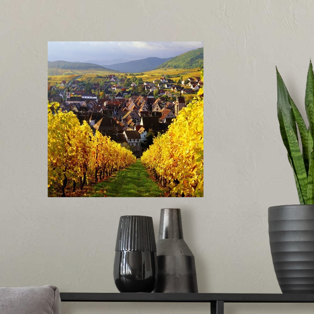 A modern room featuring France, Alsace, Vineyard and Riquewihr village