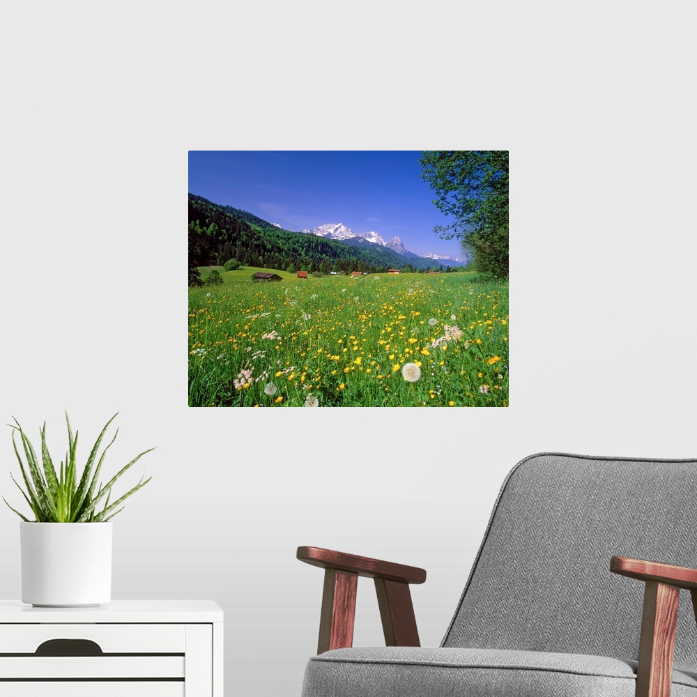 A modern room featuring Germany, Bavaria, Oberbayern, meadow and Zugspitze mountain range in background