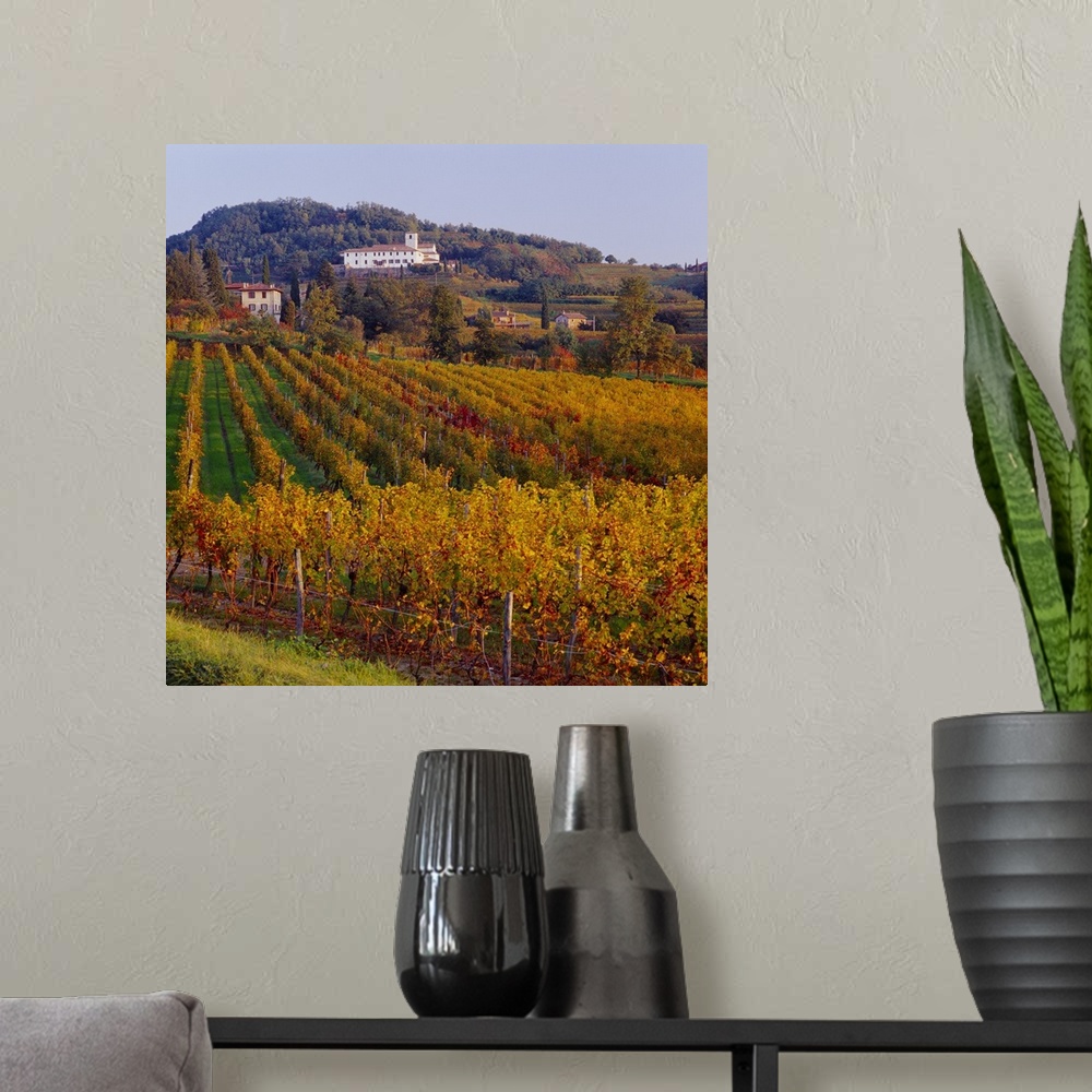 A modern room featuring Italy, Friuli, Collio Orientali, vineyards and Rosazzo Abbey in background