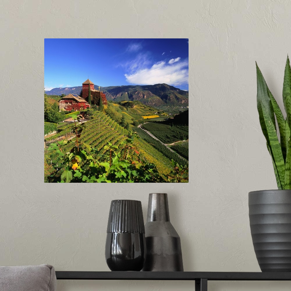 A modern room featuring Italy, South Tyrol, wine-road, Warth castle and vineyard towards Bolzano