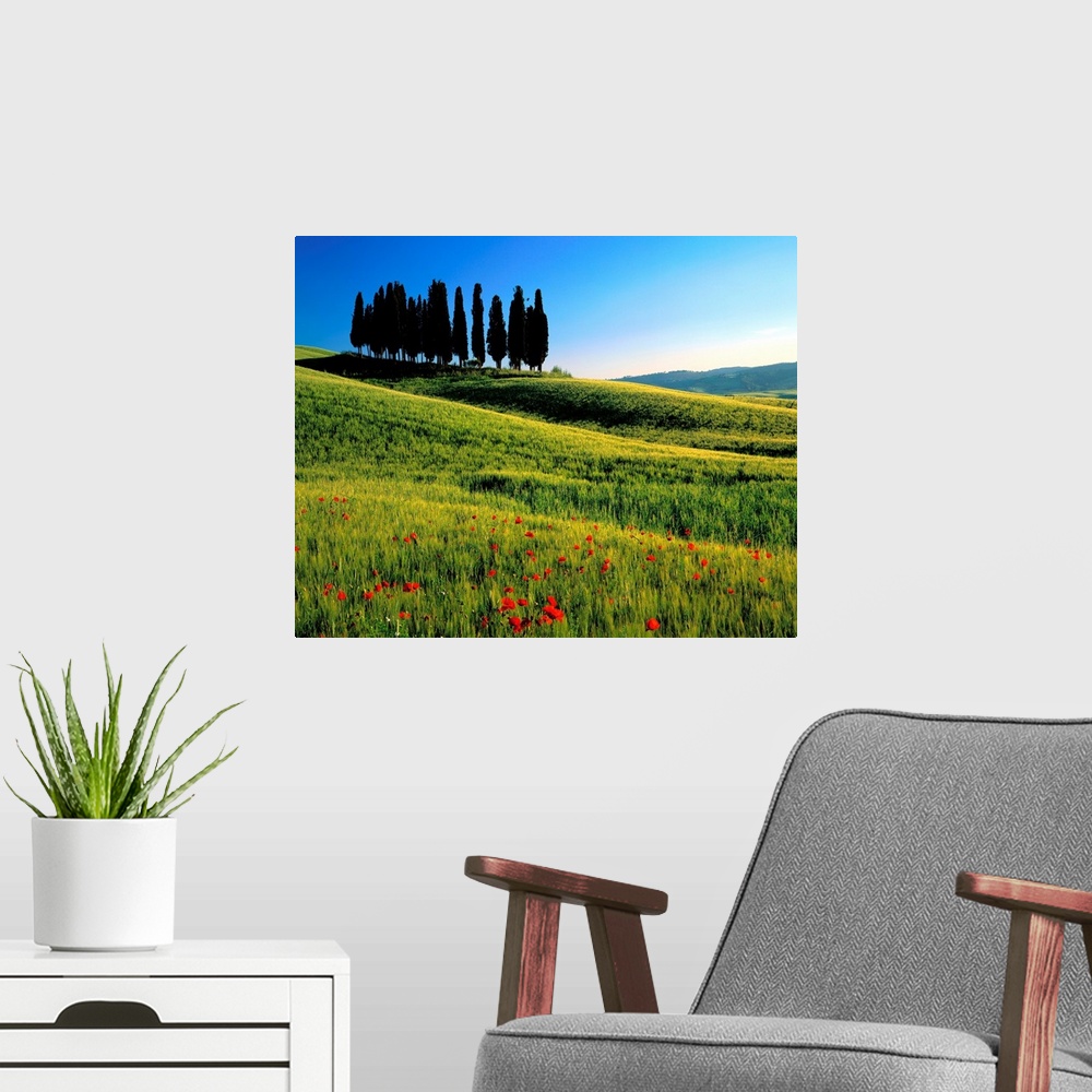A modern room featuring Italy, Tuscany, Cypress trees on typical landscape