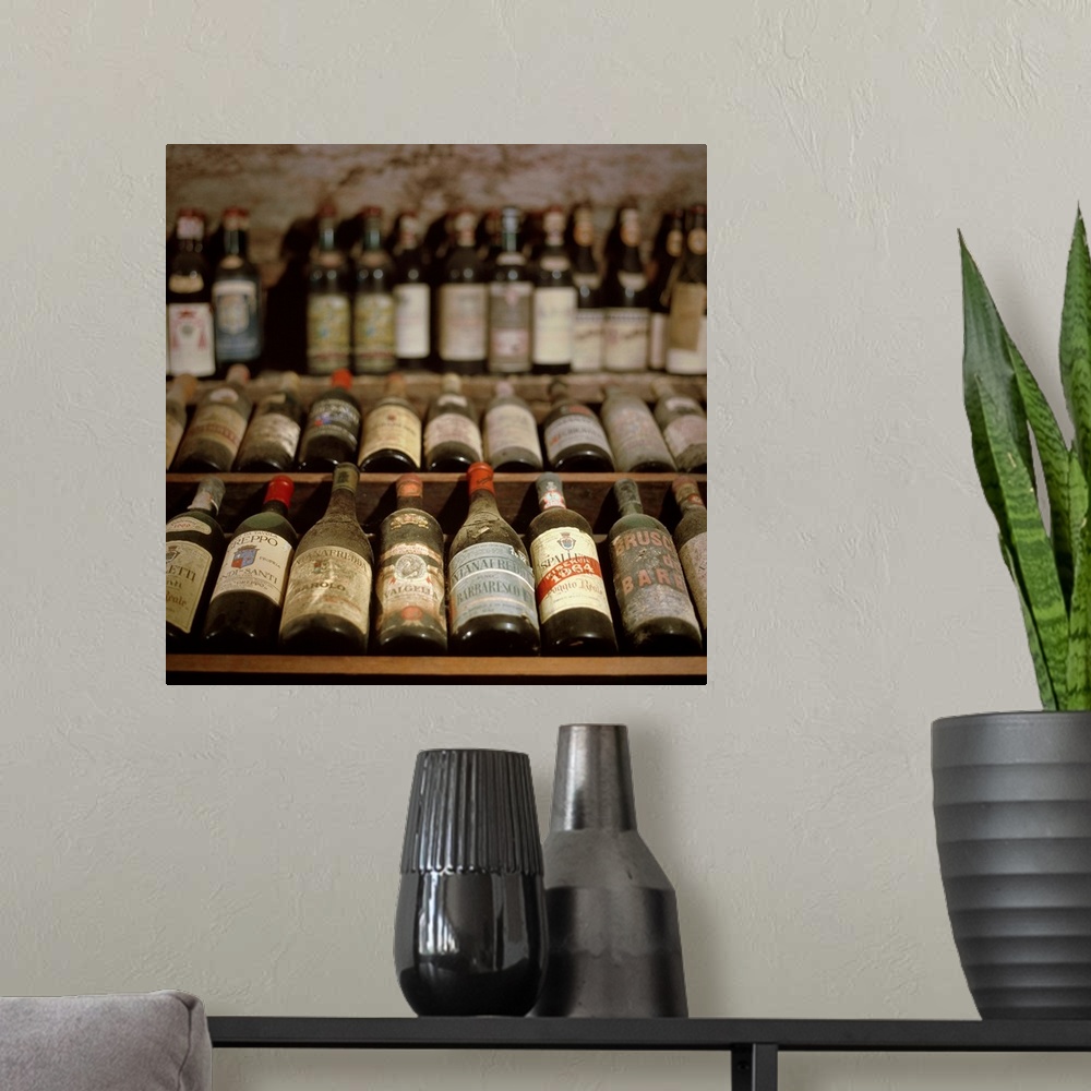 A modern room featuring Italy, Tuscany, Lucca, Collection of wine in the Vanni cellar
