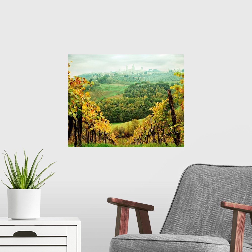 A modern room featuring Italy, Tuscany, San Gimignano, Vineyards and San Gimignano in background