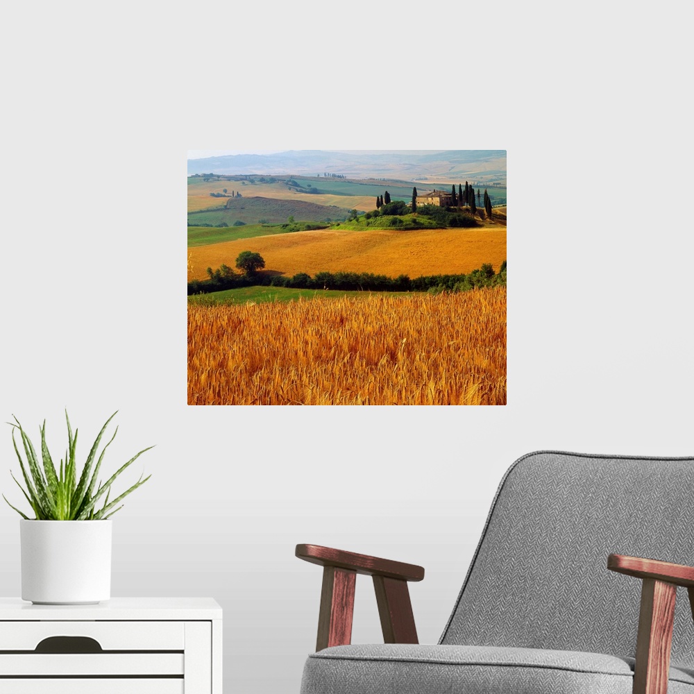 A modern room featuring Italy, Tuscany, Val d'Orcia, typical countryside