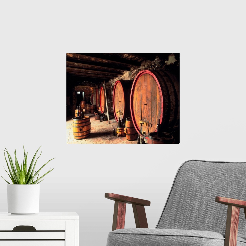 A modern room featuring Italy, Umbria, Wine cellar, Citta della Pieve, Barrel in wine cellar