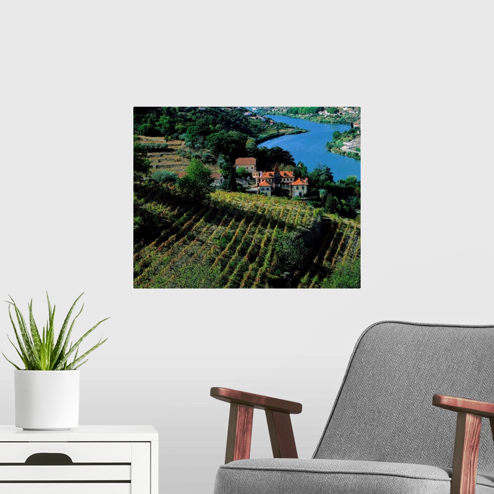 A modern room featuring Portugal, Douro Valley, Douro river, vineyards nearby Regua