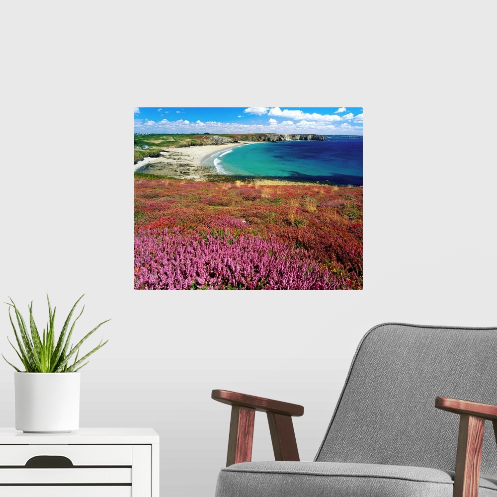 A modern room featuring Wildflower field by beach