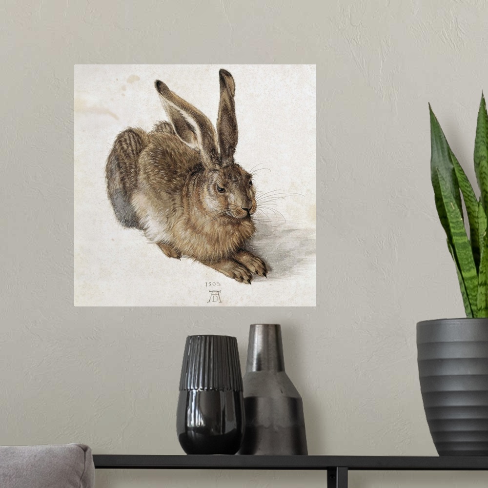 A modern room featuring Hare