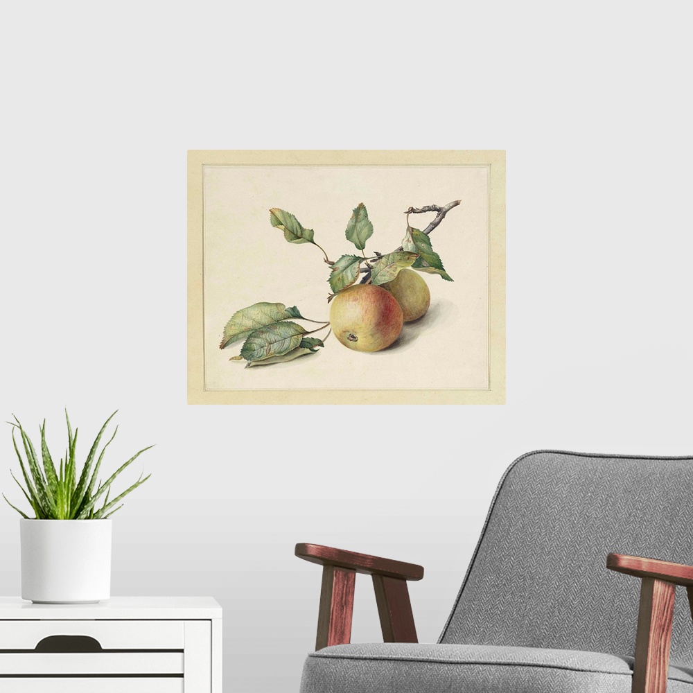 A modern room featuring Two Apples on a Branch, by Johannes Reekers, c . 1850-80, Dutch watercolor painting.