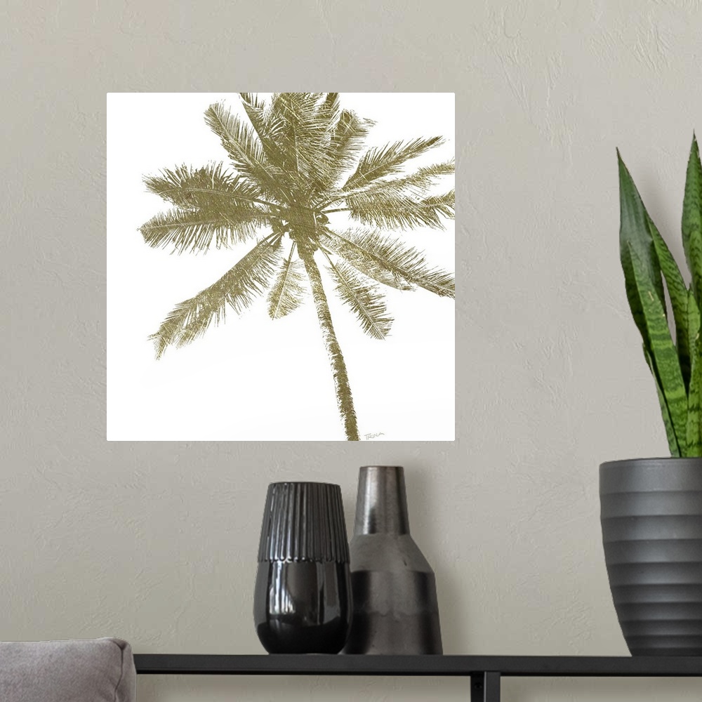 A modern room featuring Palm Breeze II