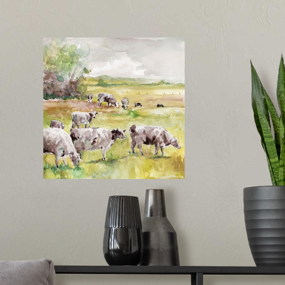 A modern room featuring Spring Herd