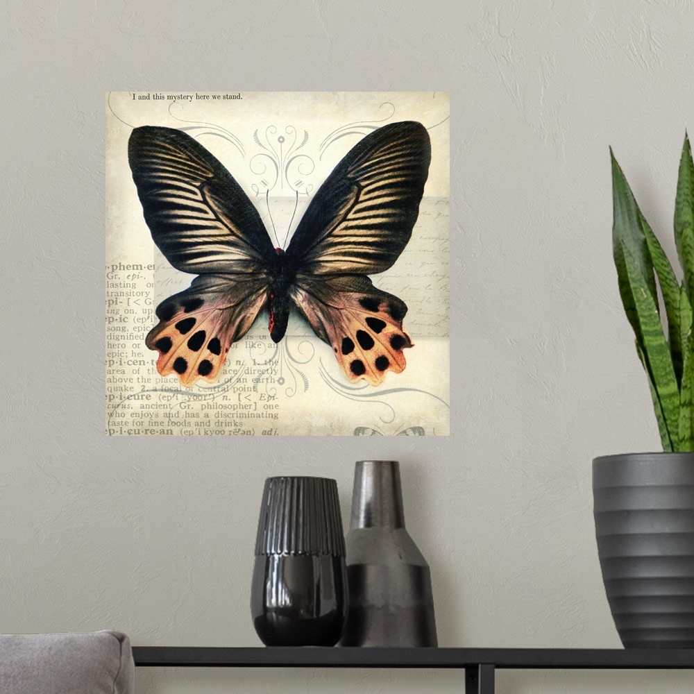 A modern room featuring Butterflies Script IV