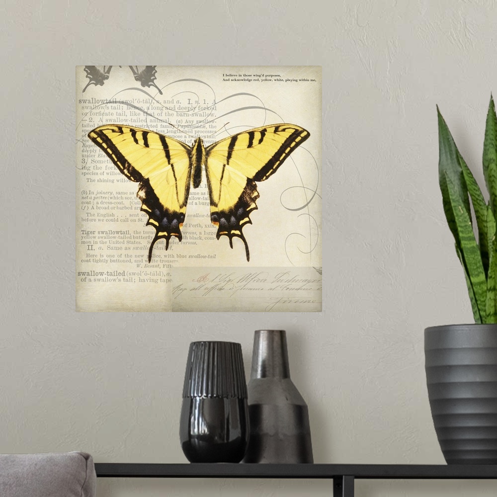 A modern room featuring Butterflies Script V - mini