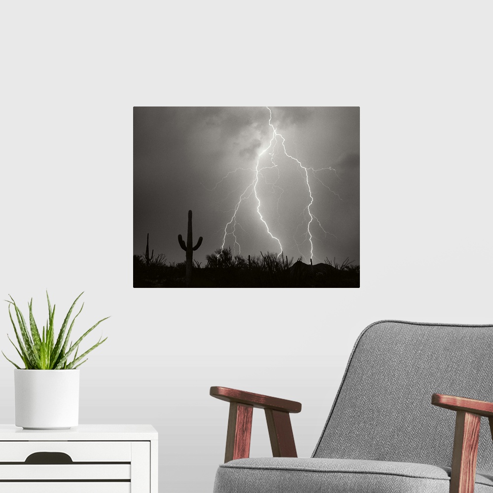 A modern room featuring Electric Desert I - BW