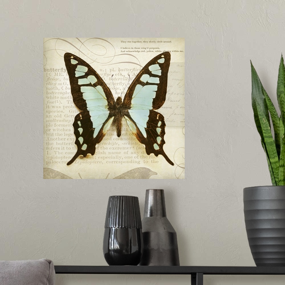 A modern room featuring Vintage Butterfly I