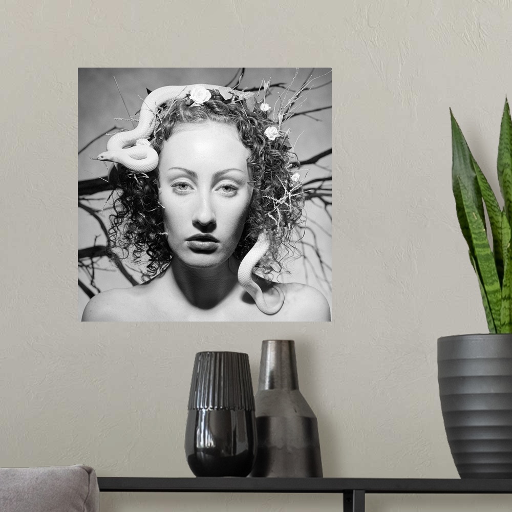 A modern room featuring A caucasian nature goddess with a snake in her hair gazes from a dream