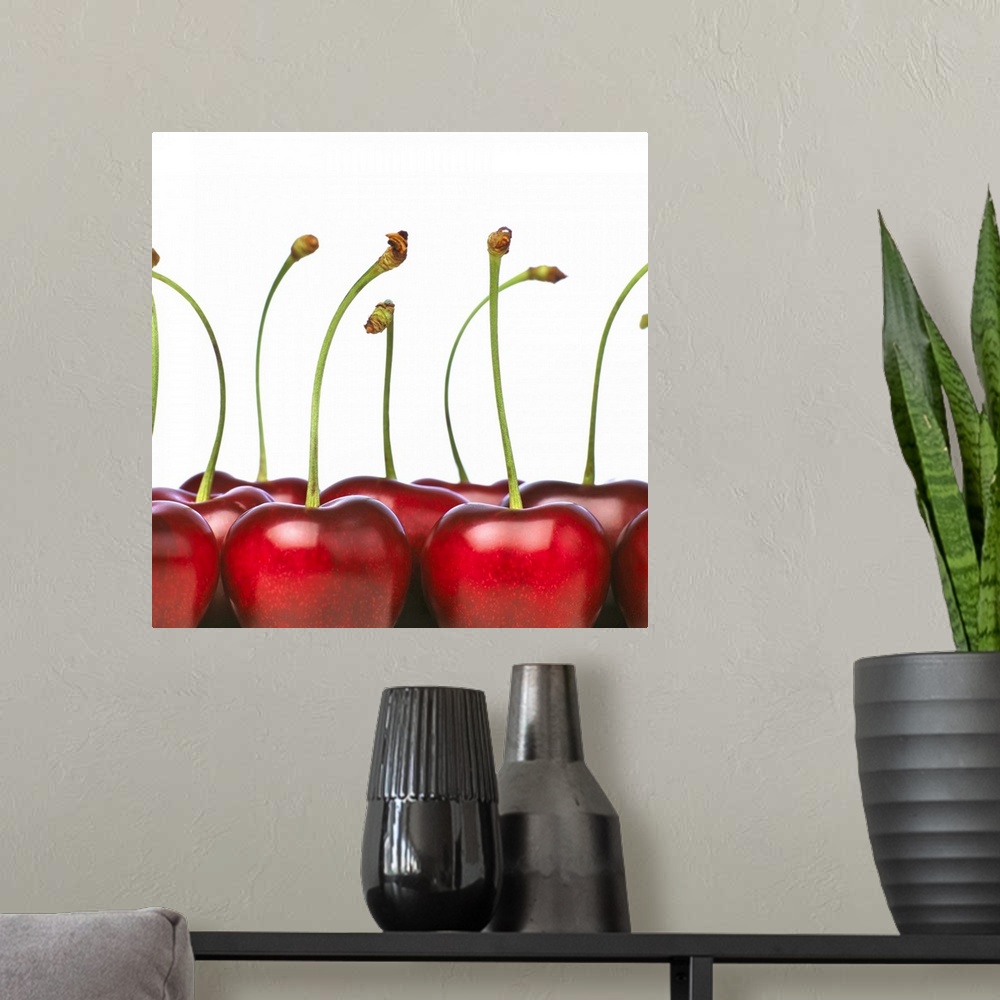 A modern room featuring Charries shot in the foreground of the photograph. The cherries are big, ripe and red and they ha...