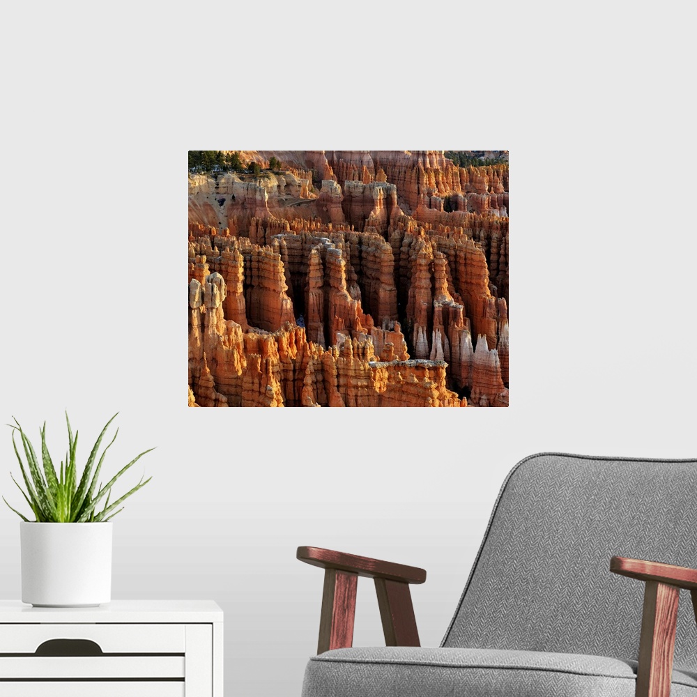 A modern room featuring Bryce Canyon National Park Just after Sunrise from Inspiration point on a Crisp February day.