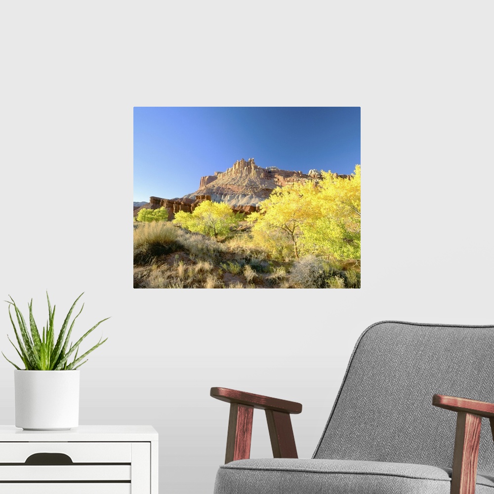 A modern room featuring 'Autumn, Capitol Reef National Park, Southern Utah'