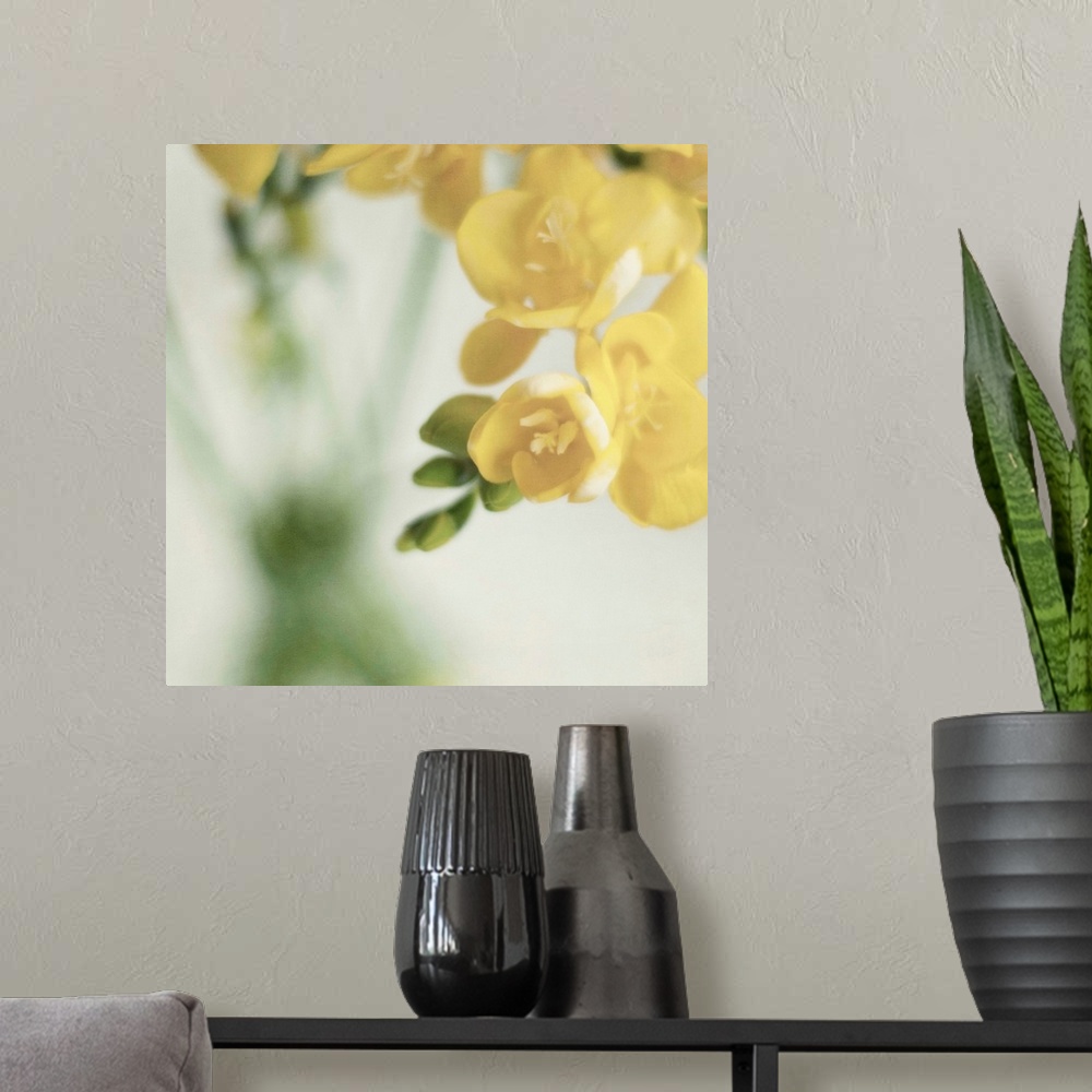 A modern room featuring Fragrant Freesia flowers in  vase.Soft textures added in processing.