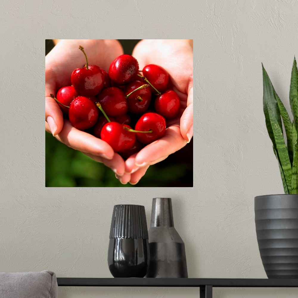 A modern room featuring Handful of cherries