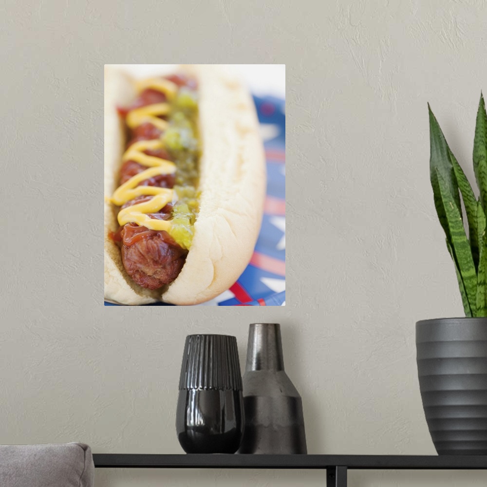 A modern room featuring Hot Dog on Red, White, and Blue Plate
