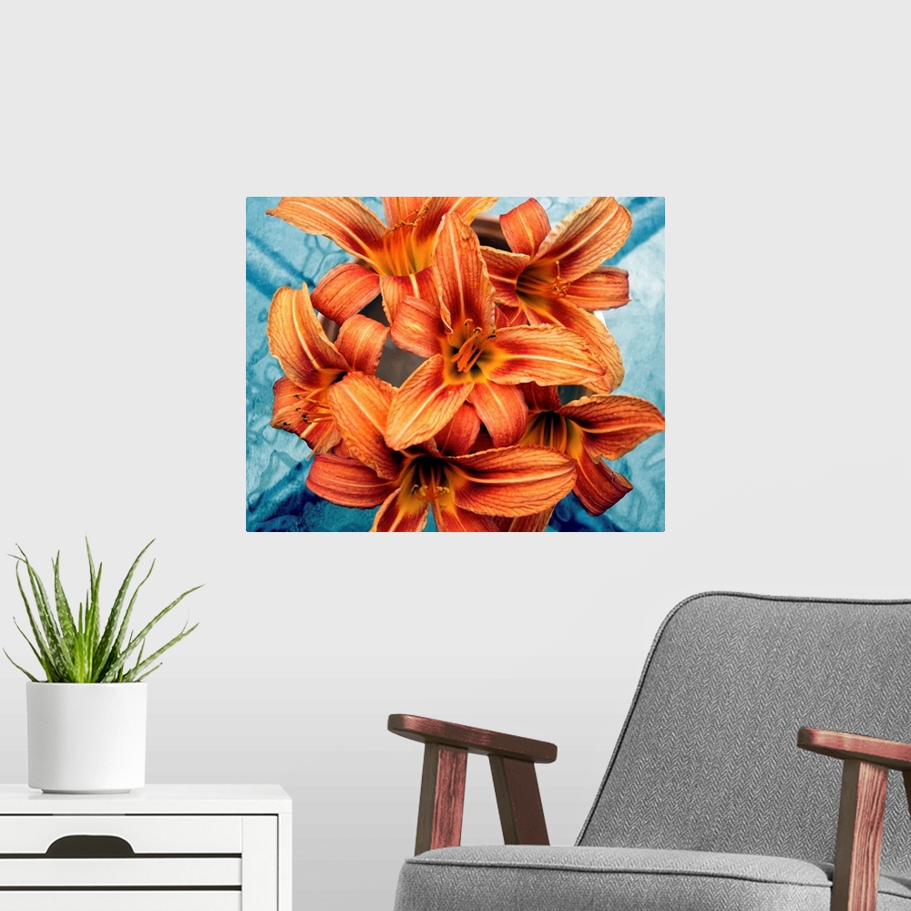A modern room featuring Orange day-lilies on blue glass.