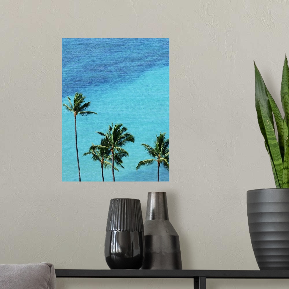 A modern room featuring Palm trees and surface of the sea