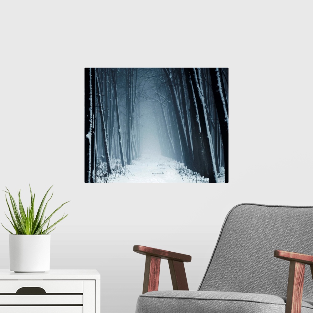 A modern room featuring Path leading into mysterious forest in snow and fog.