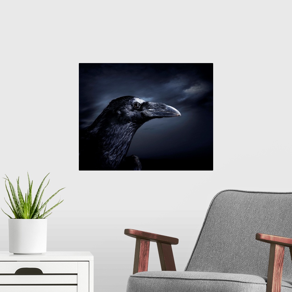 A modern room featuring Profile Of A Crow