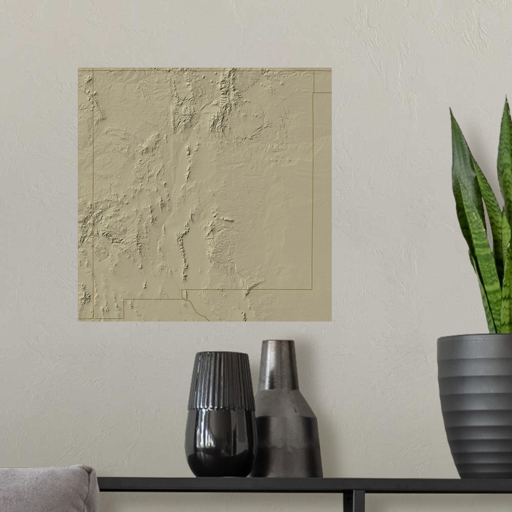 A modern room featuring Relief Map of New Mexico