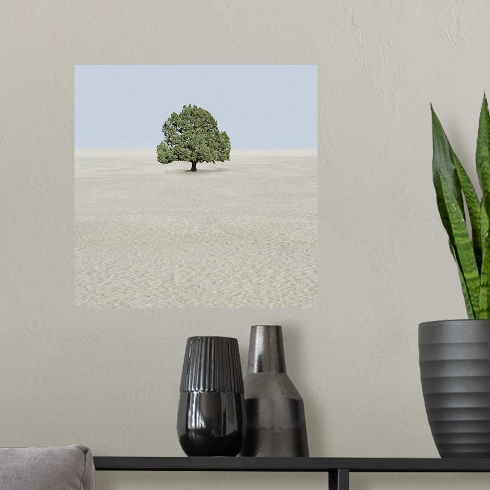 A modern room featuring Single tree in desert