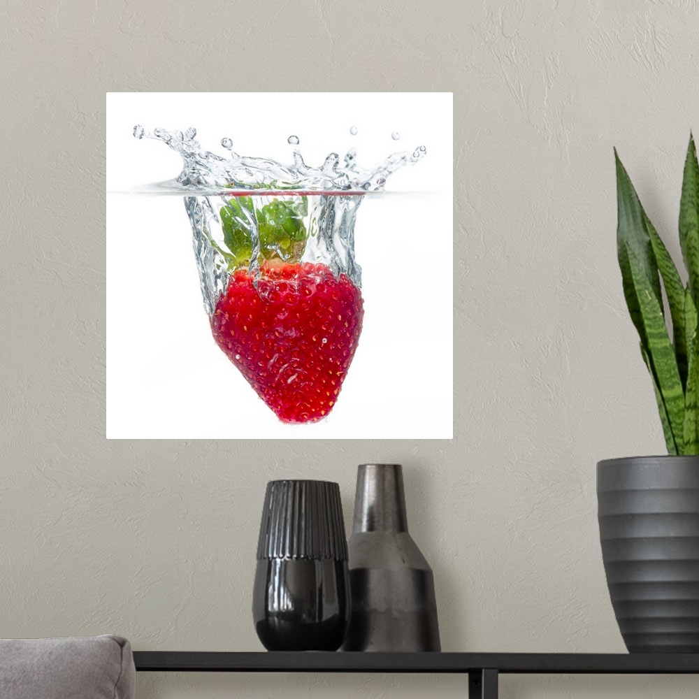 A modern room featuring Square, large photograph of a juicy, ripe, organic strawberry splashing as it becomes submerged i...