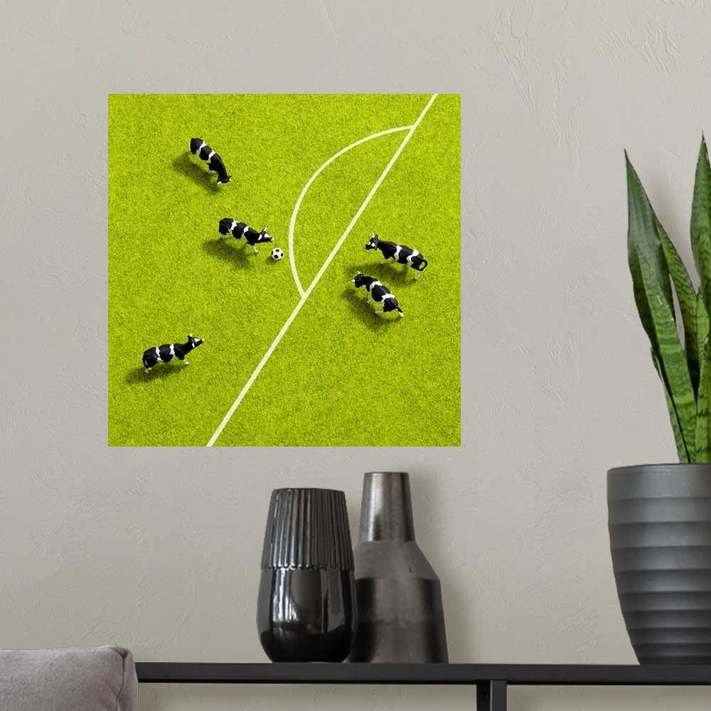 A modern room featuring The cows playing soccer