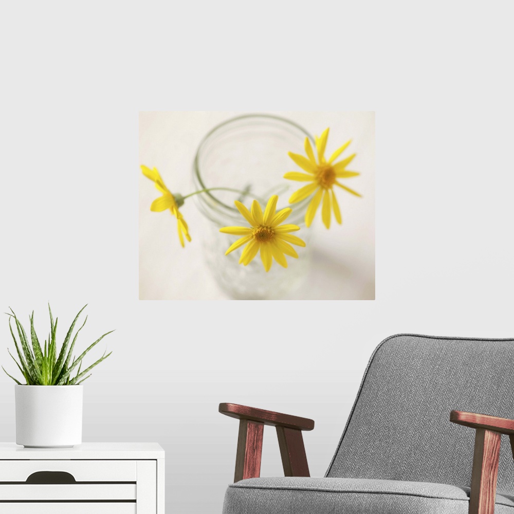 A modern room featuring Three yellow daisies in glass jar.