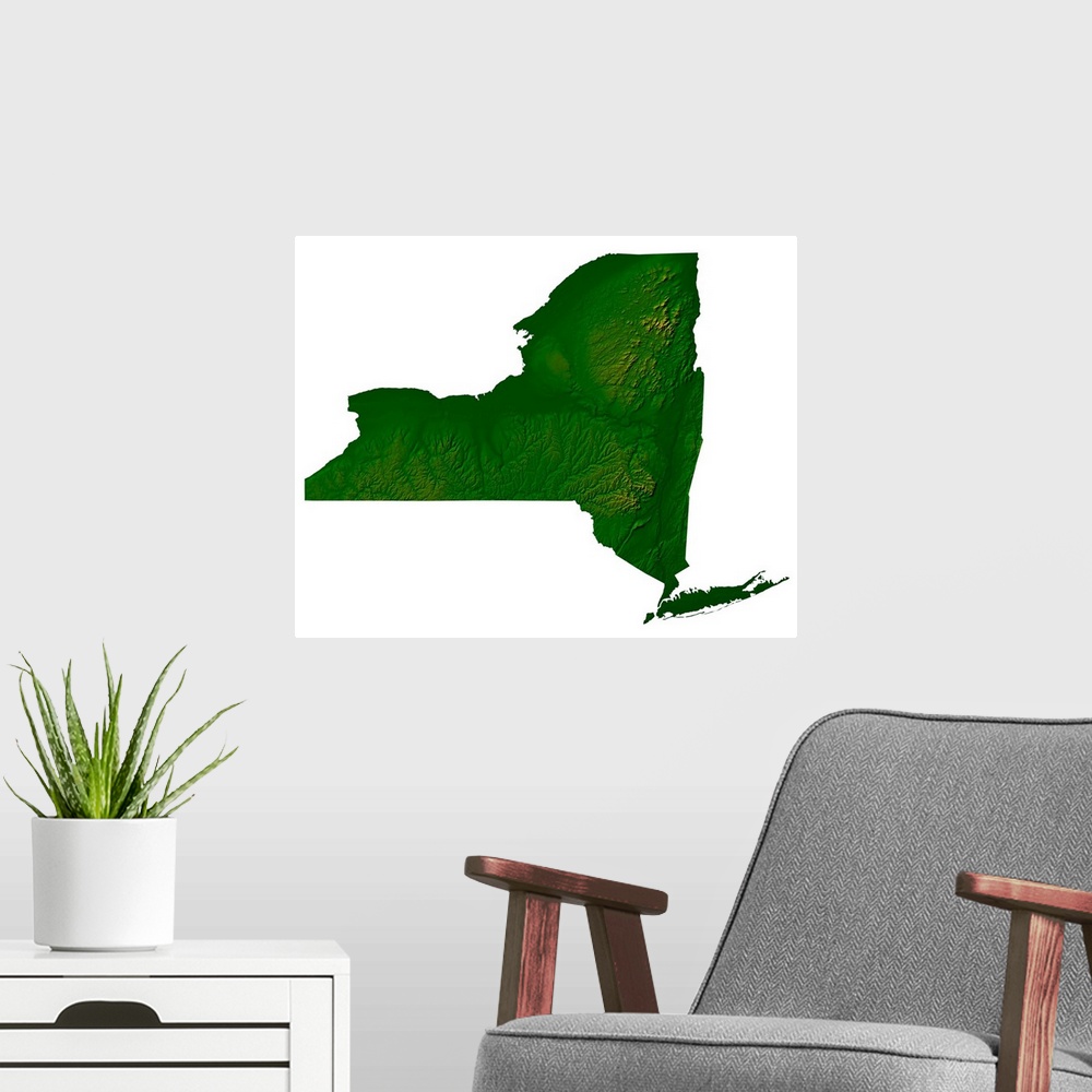 A modern room featuring Topographic map of New York State