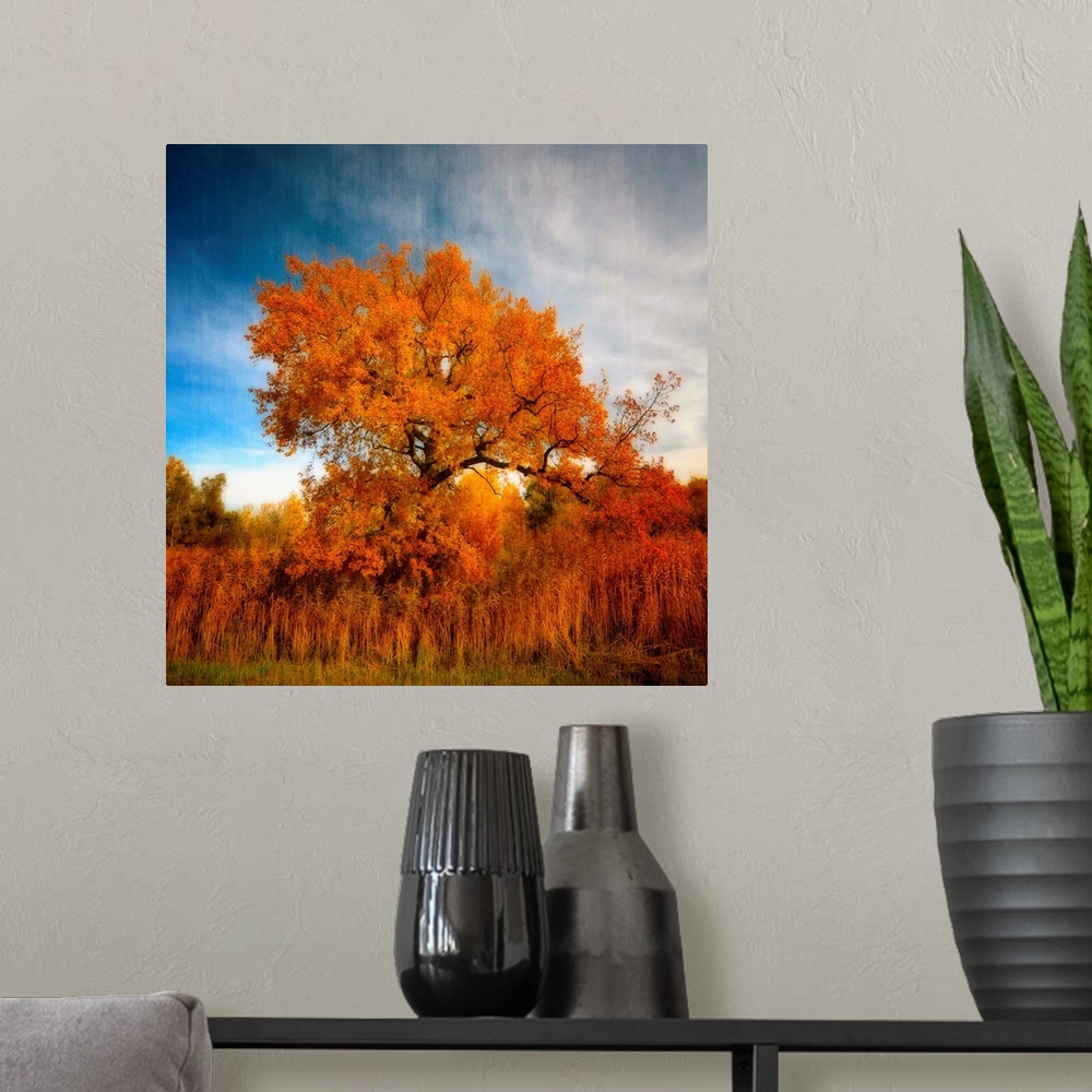 A modern room featuring Tree in Autumn.